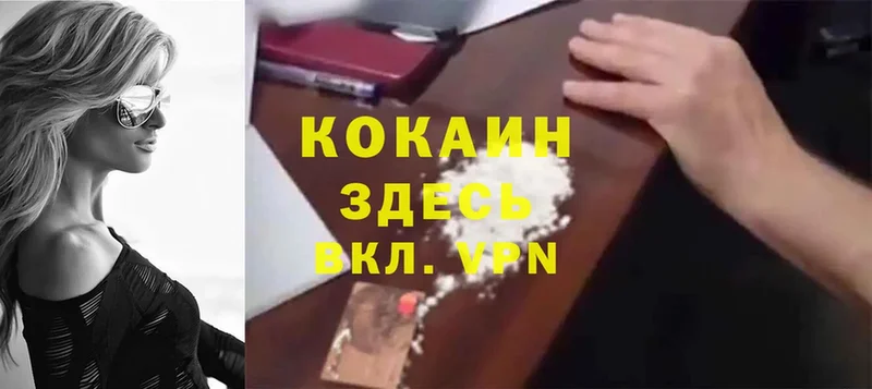 купить наркотики цена  Бронницы  Cocaine FishScale 